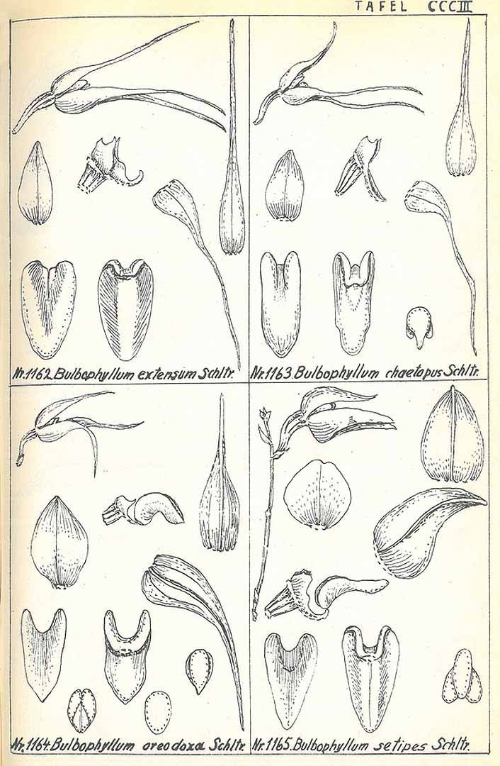 no HD illustration available (m5)