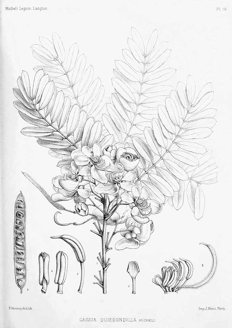 no HD illustration available (m5)