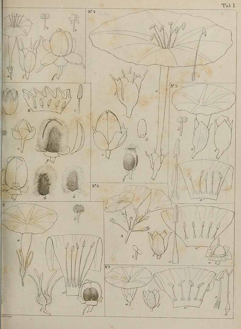 no HD illustration available (m1)