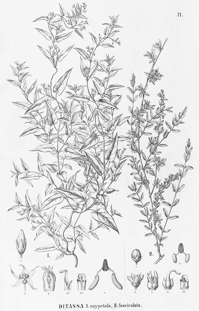 no HD illustration available (m5)