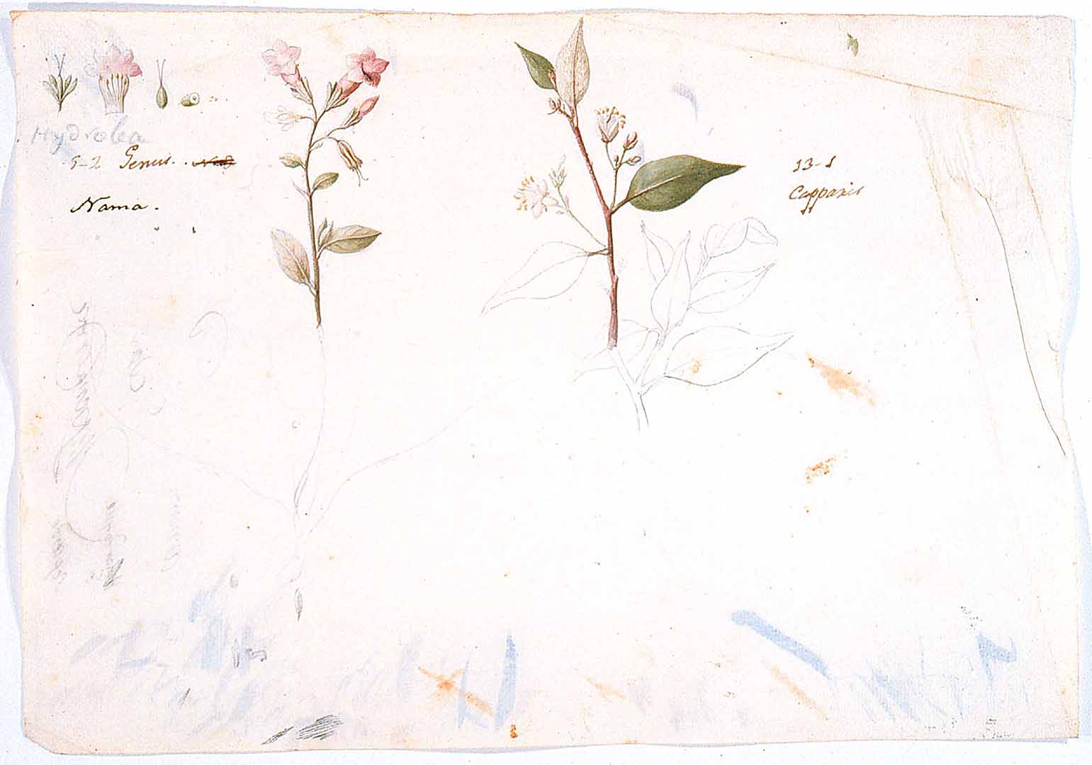 no HD illustration available (m5)
