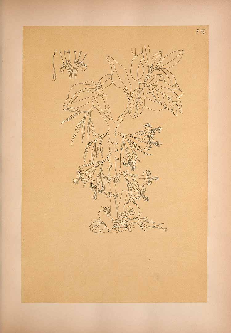 no HD illustration available (m5)
