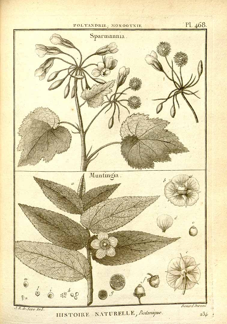 no HD illustration available (m5)