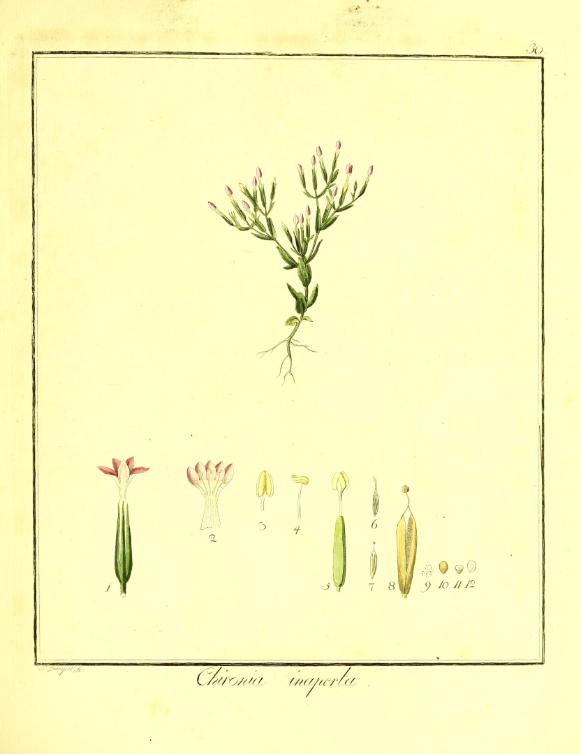 no HD illustration available (m5)