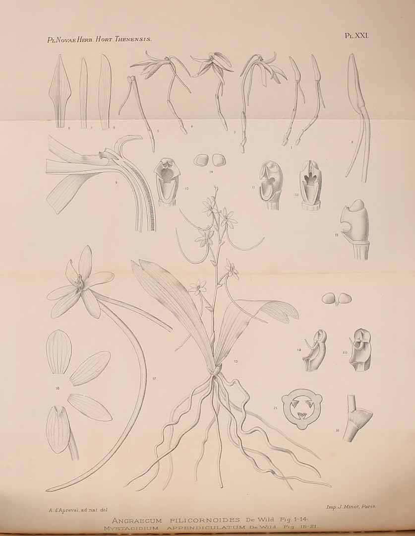 no HD illustration available (m5)