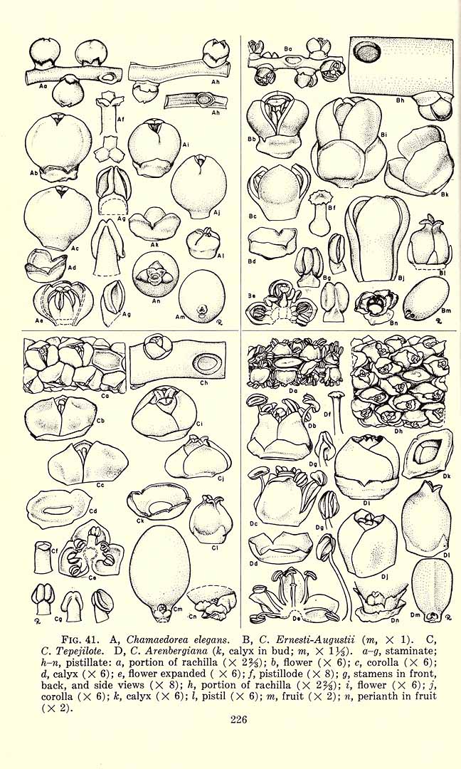 no HD illustration available (m5)