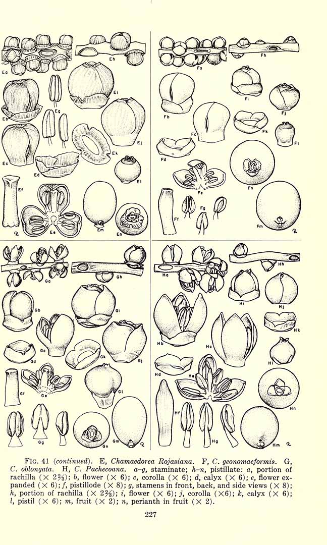 no HD illustration available (m5)