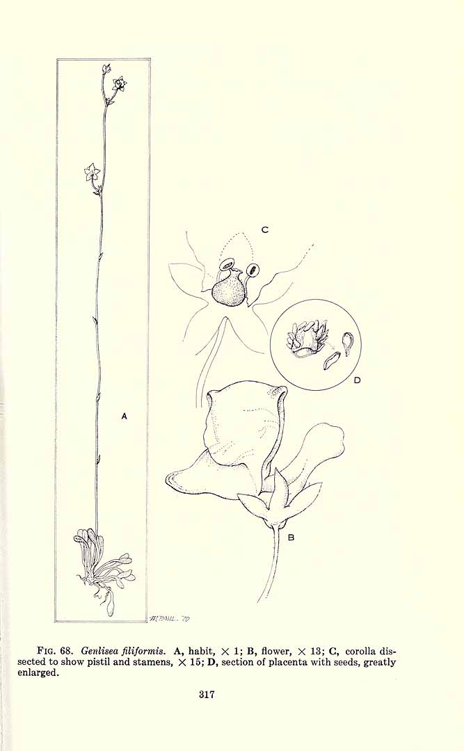 no HD illustration available (m5)