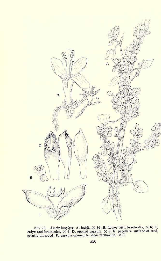 no HD illustration available (m5)