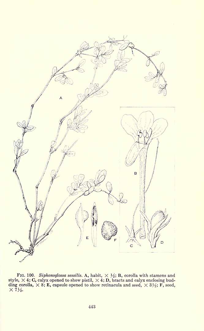 no HD illustration available (m5)