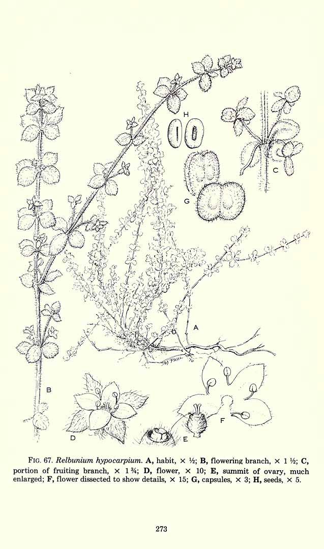 no HD illustration available (m5)