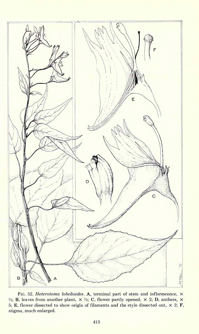 no HD illustration available (m5)