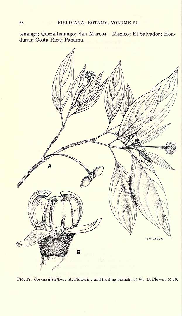 no HD illustration available (m5)