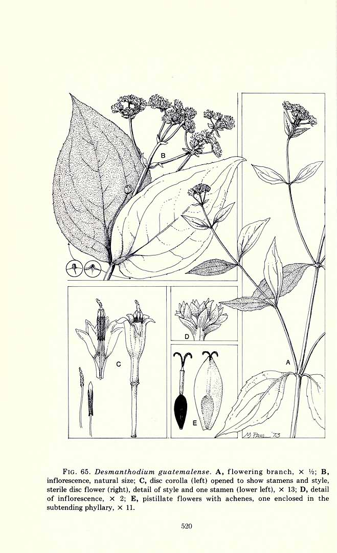 no HD illustration available (m5)