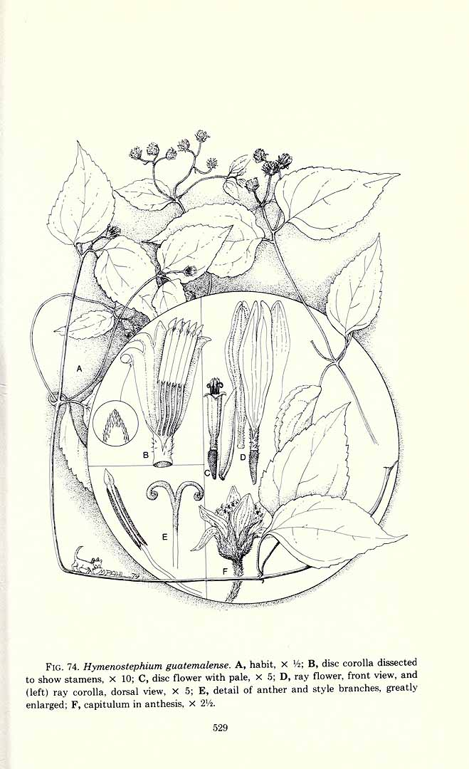 no HD illustration available (m5)
