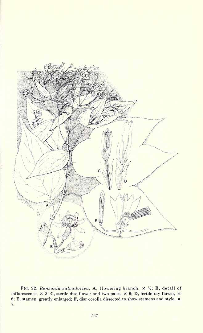 no HD illustration available (m5)