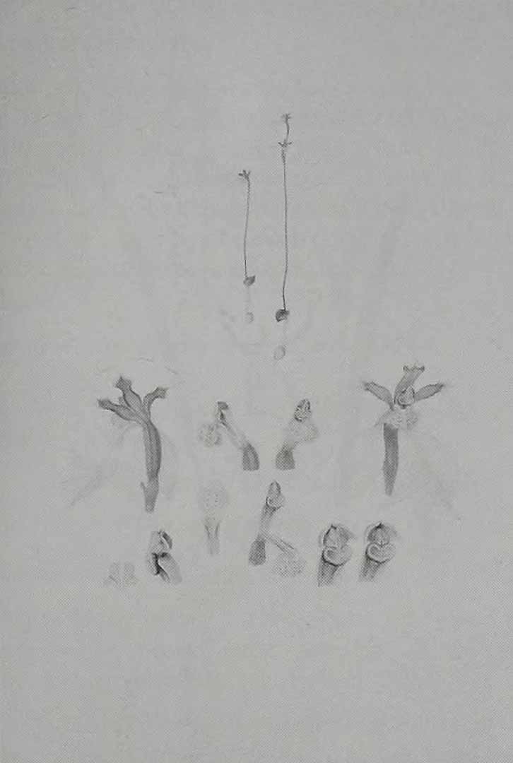 no HD illustration available (m5)