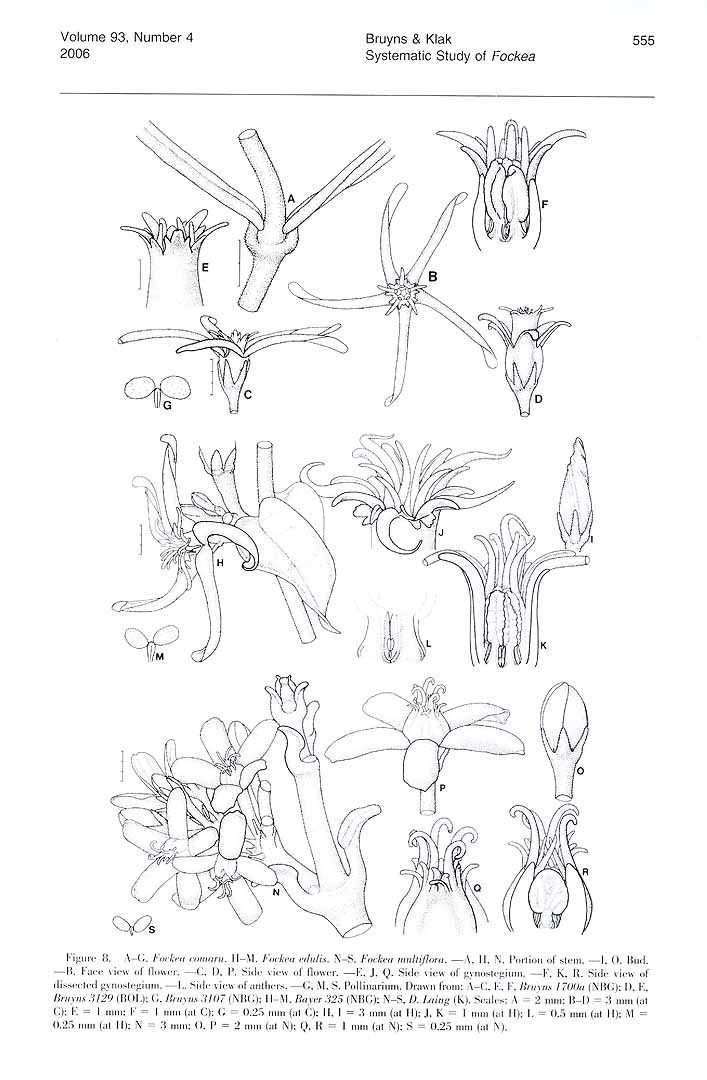 no HD illustration available (m5)