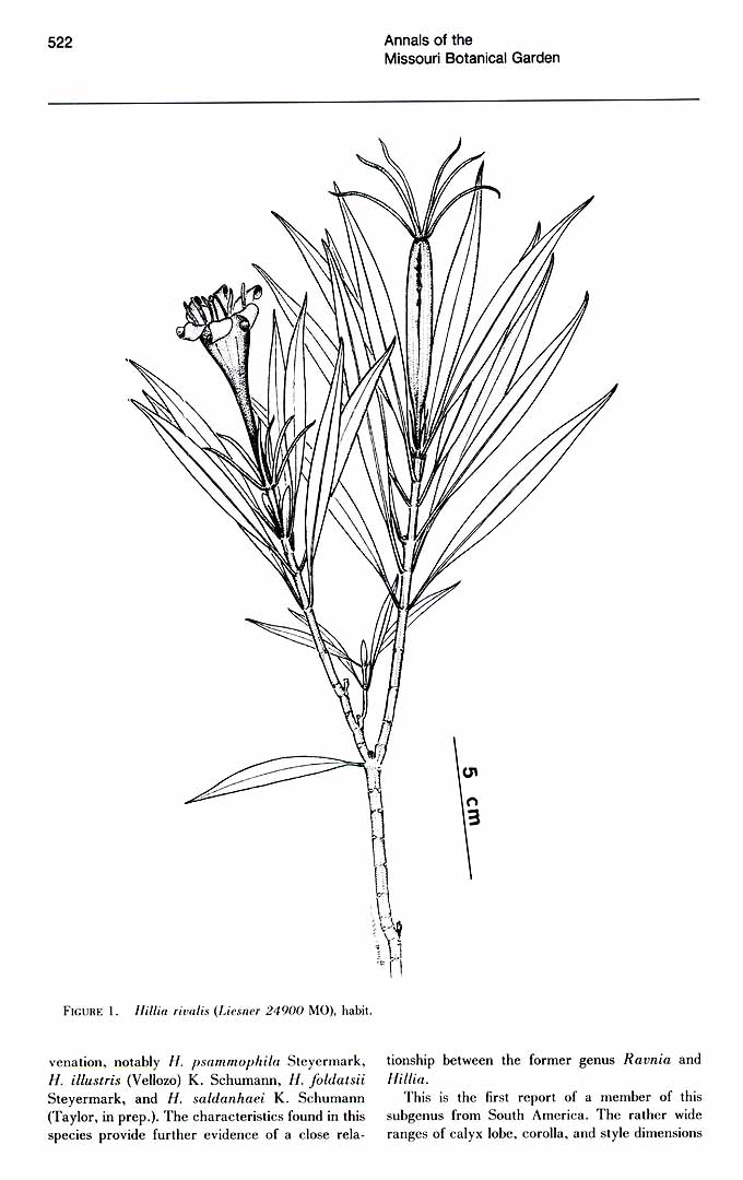 no HD illustration available (m5)