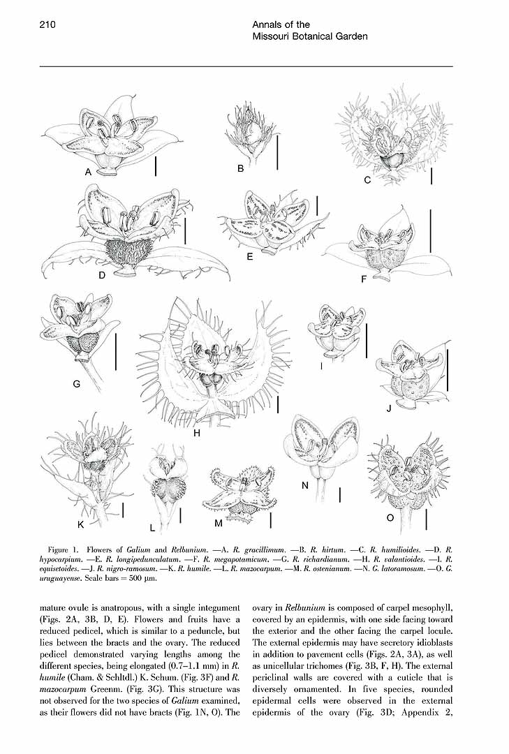 no HD illustration available (m5)