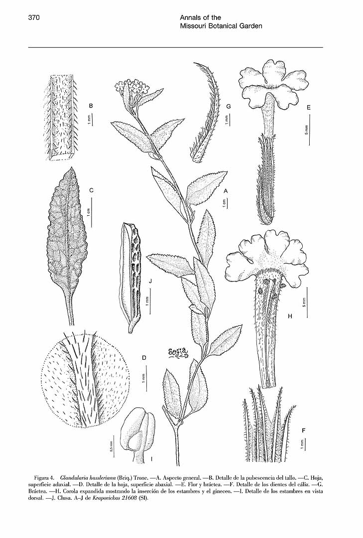 no HD illustration available (m5)