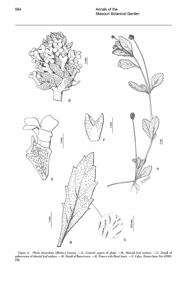 no HD illustration available (m5)