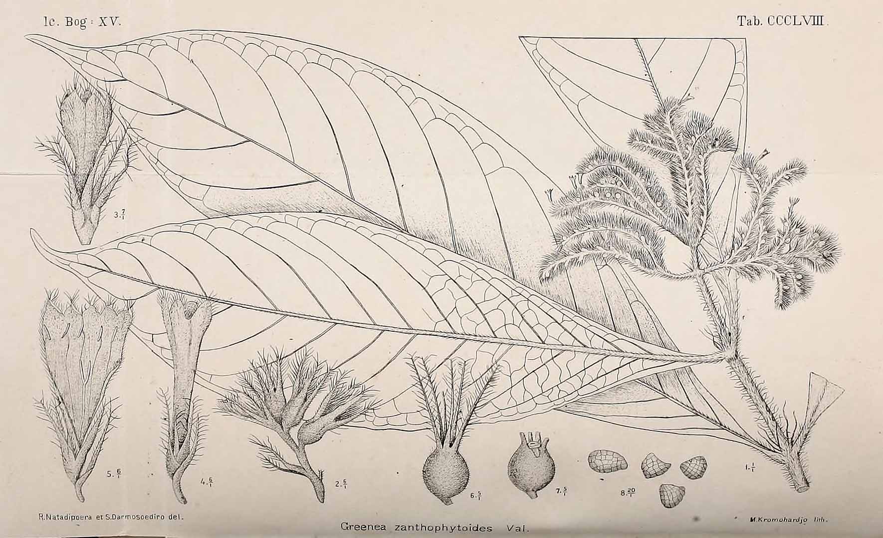 no HD illustration available (m5)