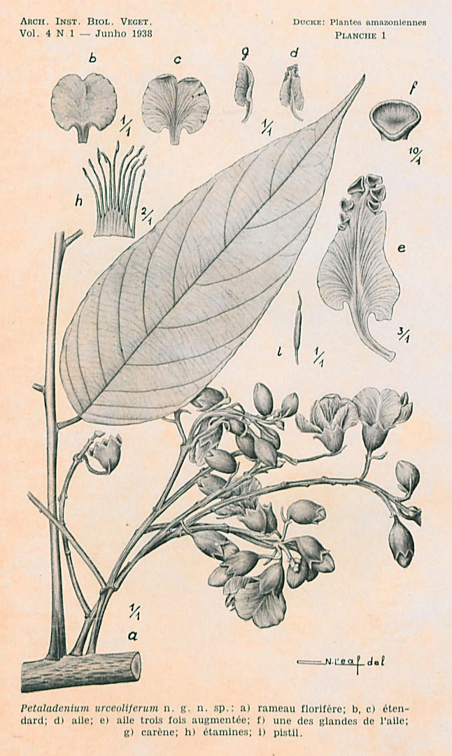 no HD illustration available (m5)