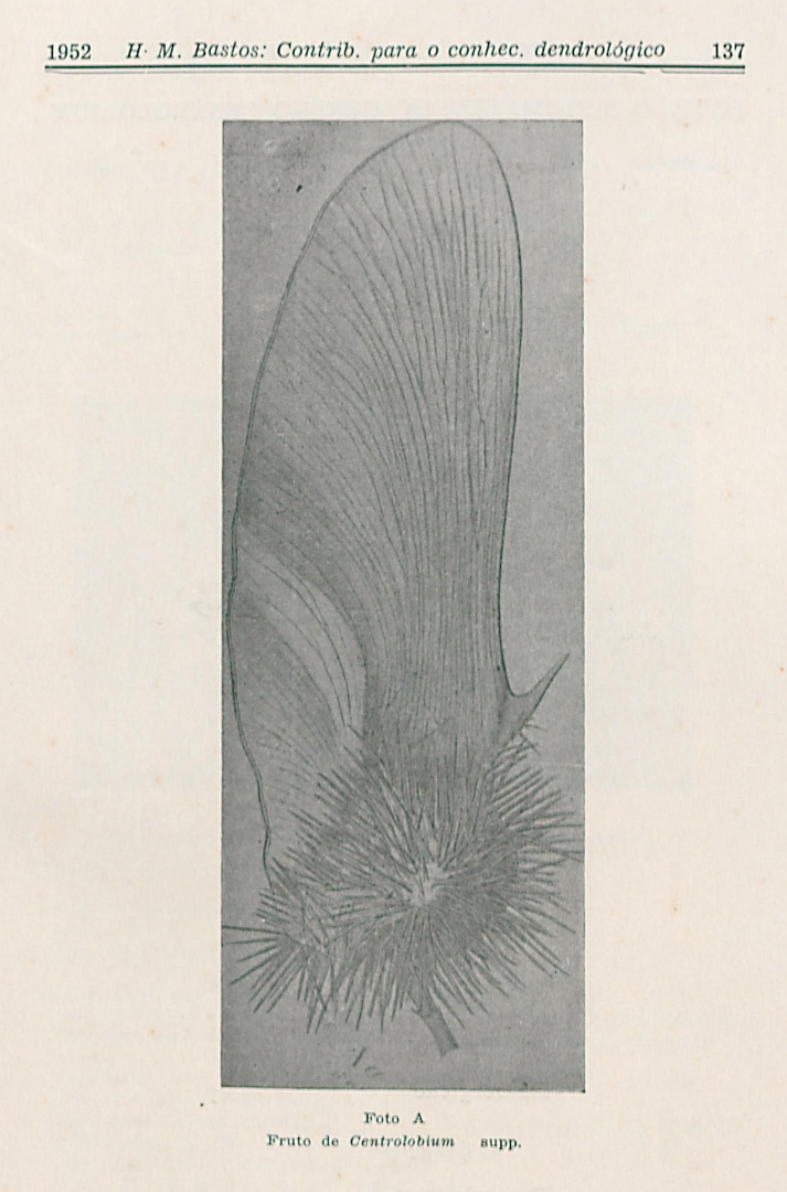 no HD illustration available (m5)