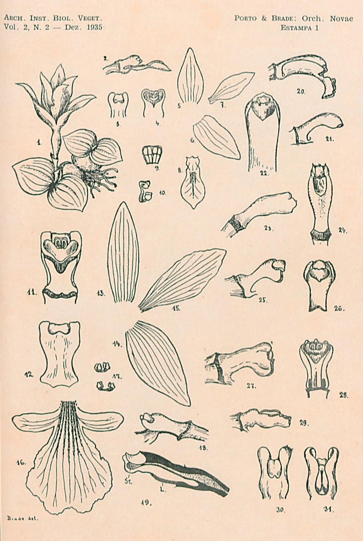 no HD illustration available (m5)