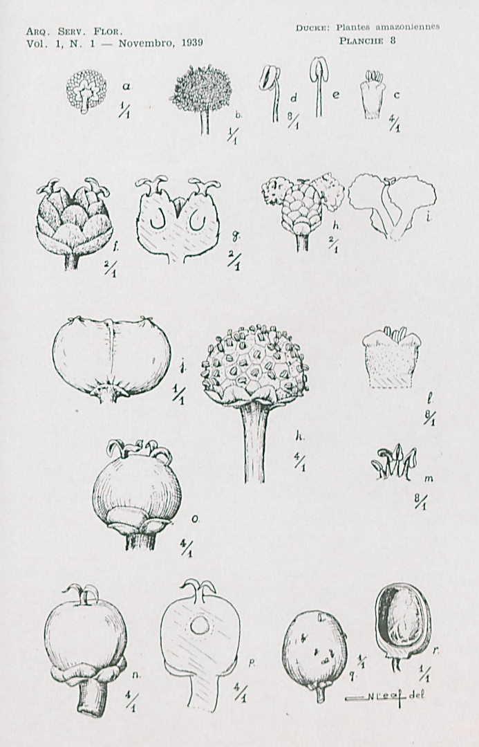 no HD illustration available (m5)
