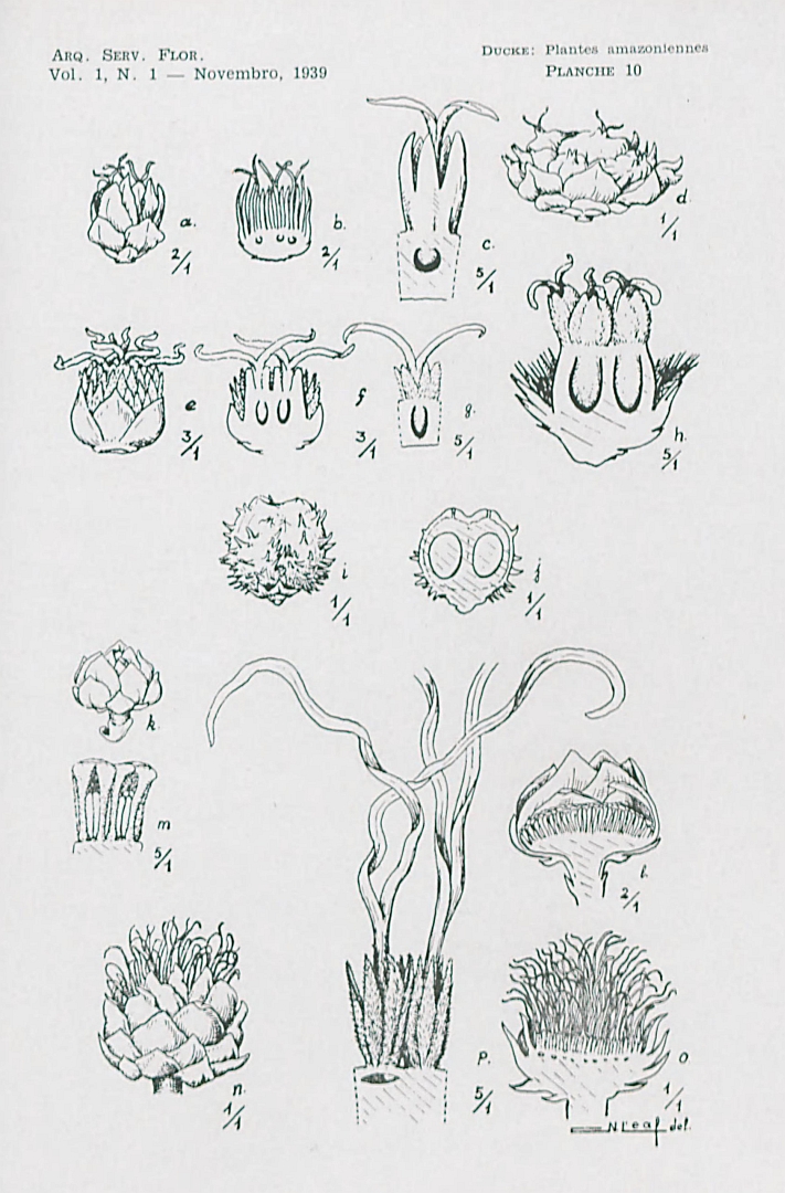 no HD illustration available (m5)
