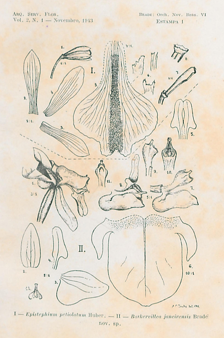 no HD illustration available (m5)