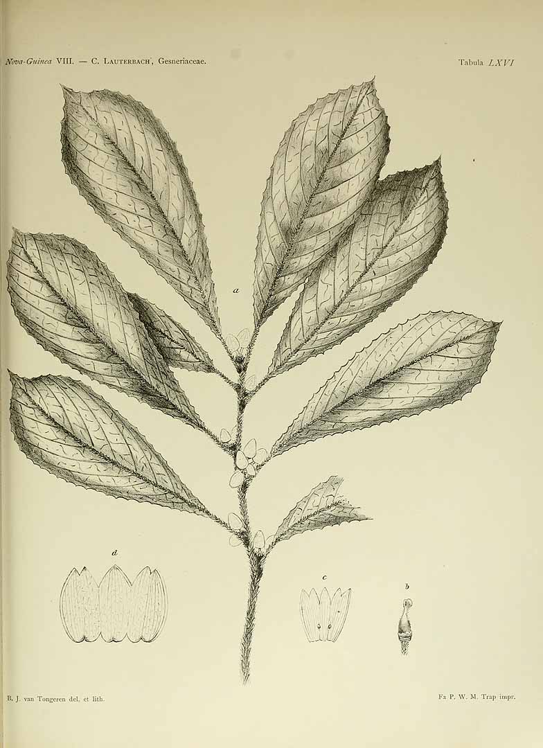 no HD illustration available (m5)
