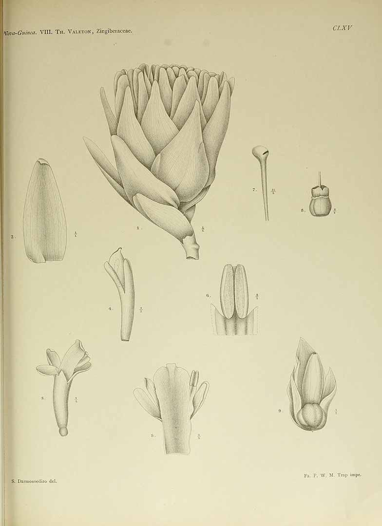 no HD illustration available (m5)