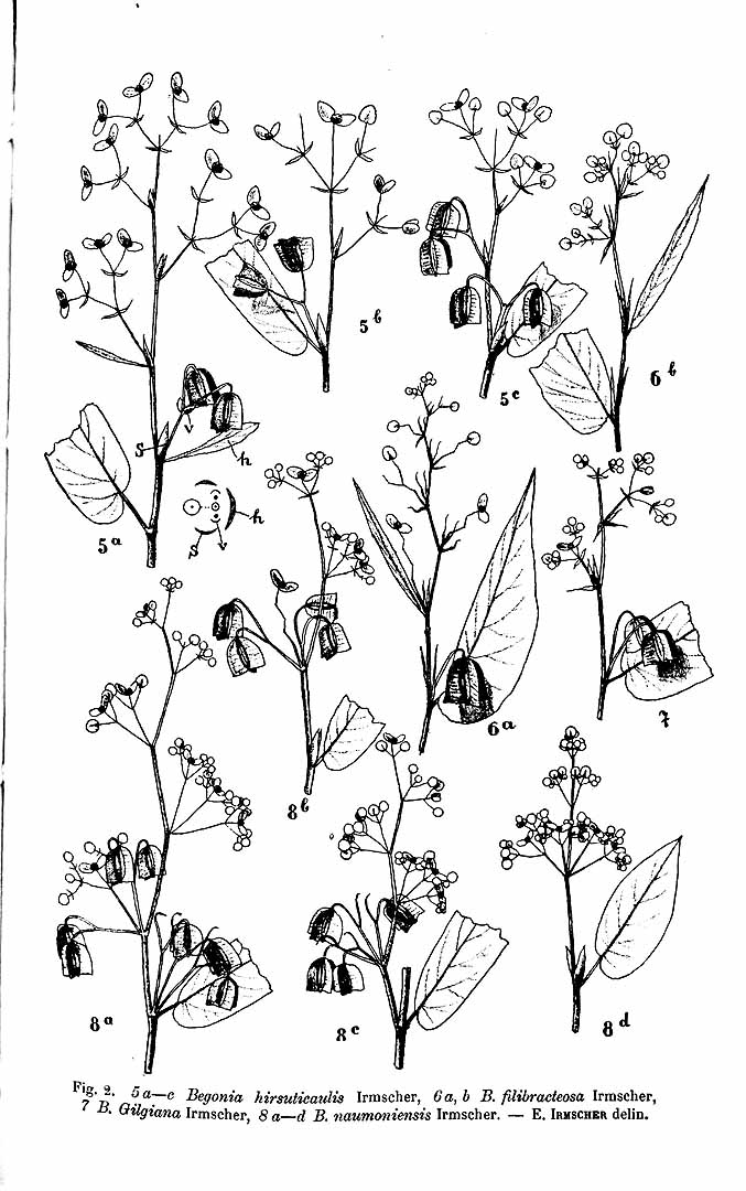 no HD illustration available (m5)