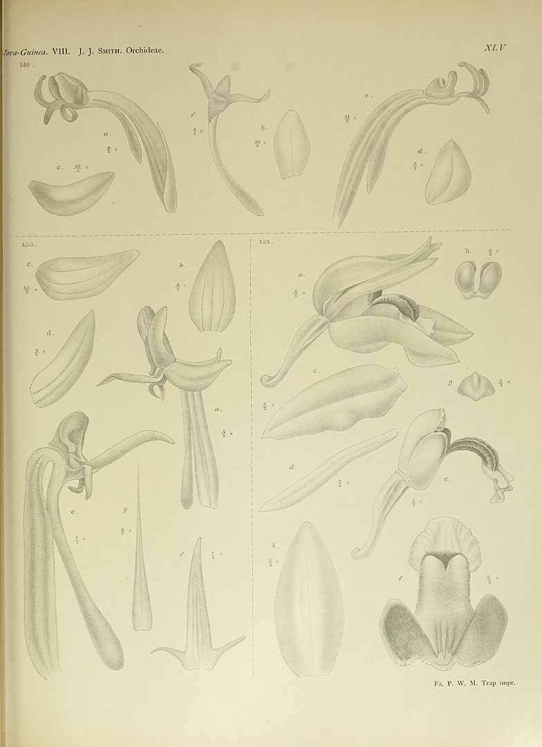 no HD illustration available (m1)