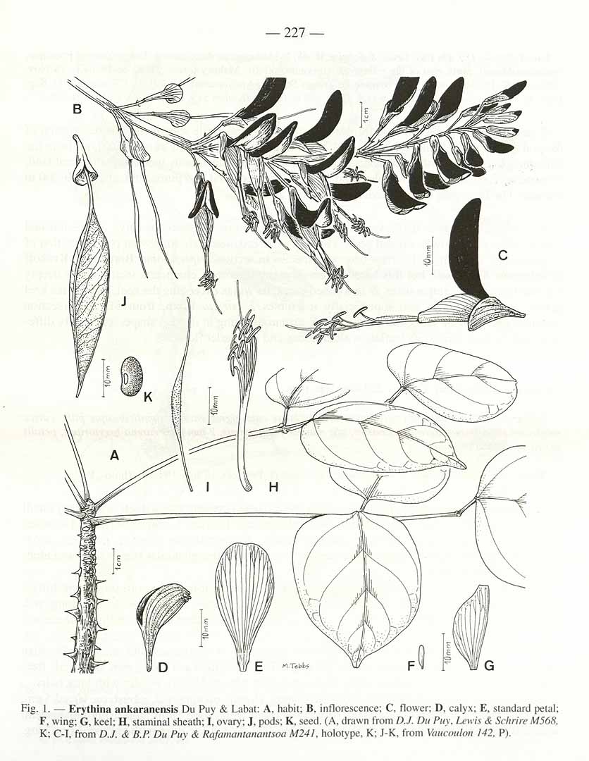 no HD illustration available (m5)