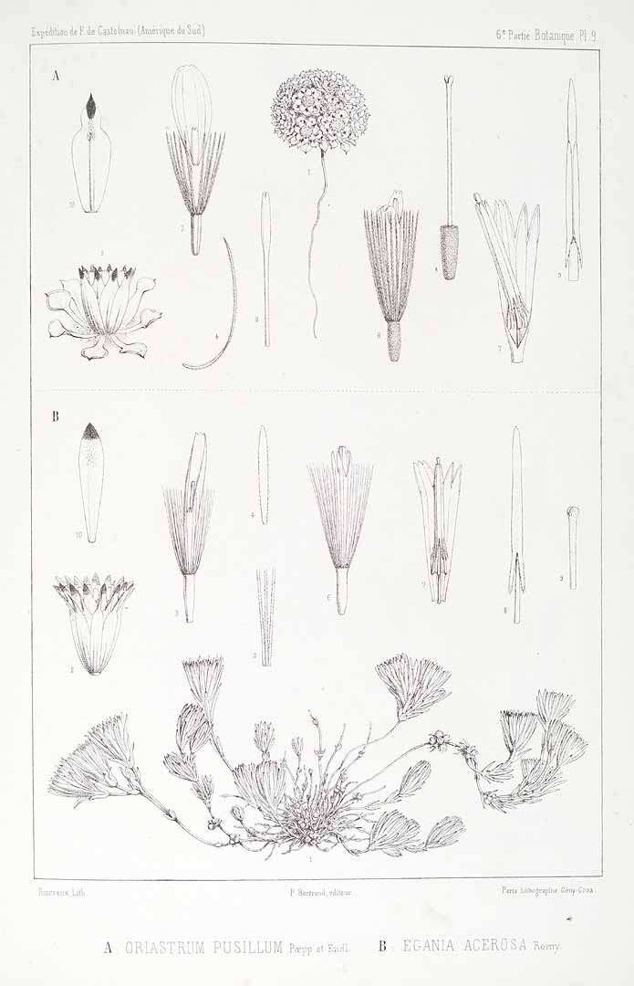 no HD illustration available (m5)