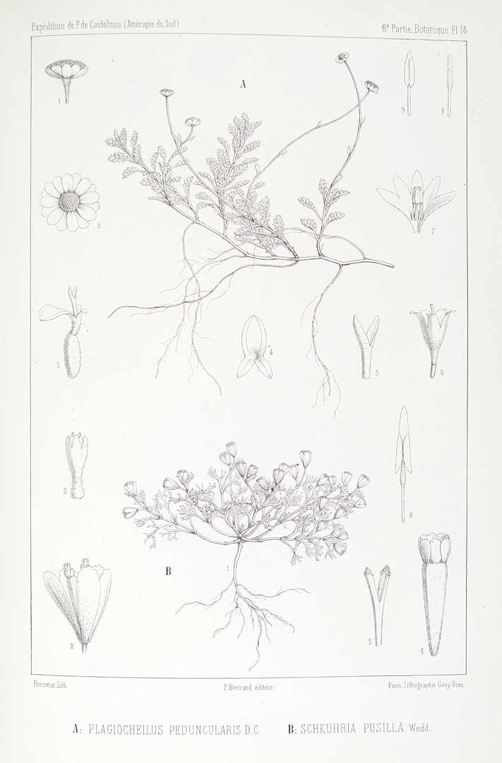 no HD illustration available (m5)