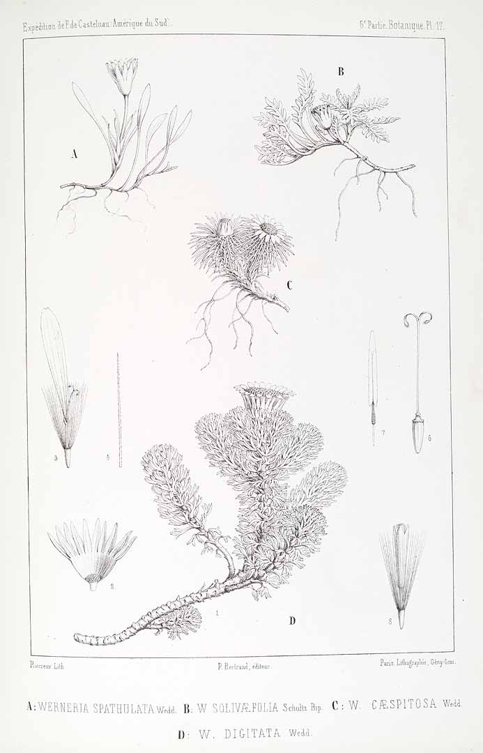 no HD illustration available (m5)
