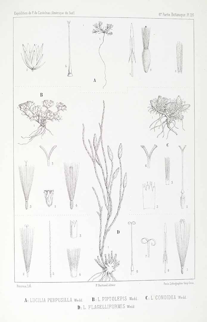 no HD illustration available (m5)