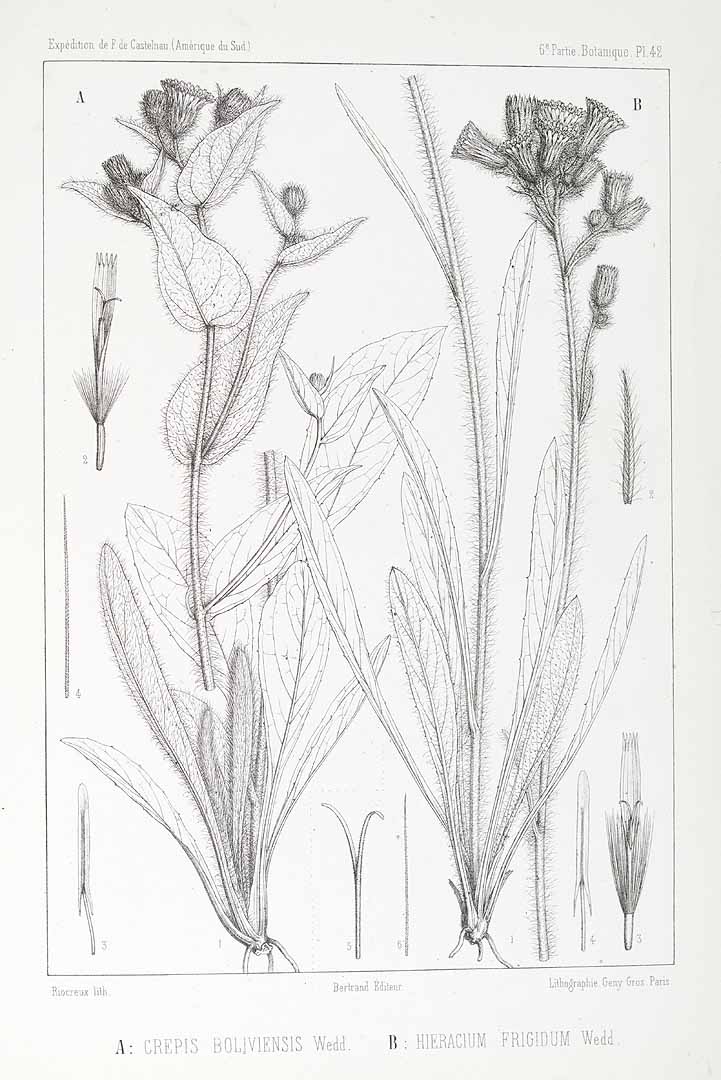 no HD illustration available (m5)