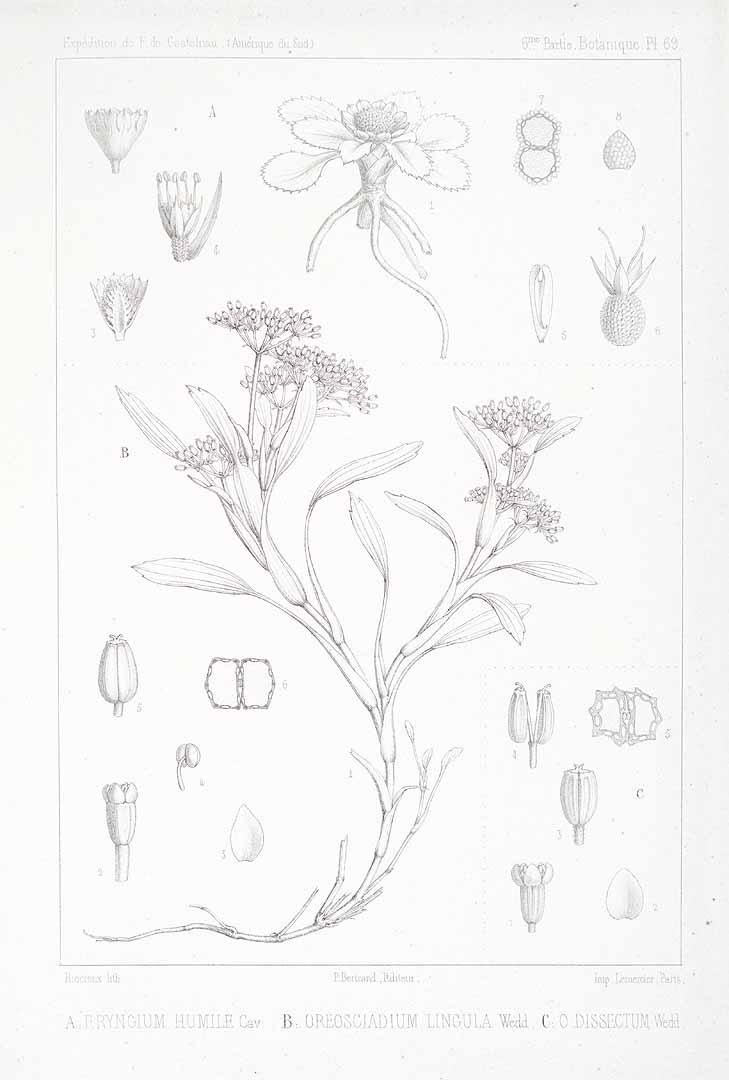 no HD illustration available (m5)