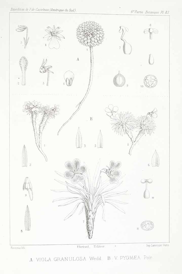 no HD illustration available (m5)