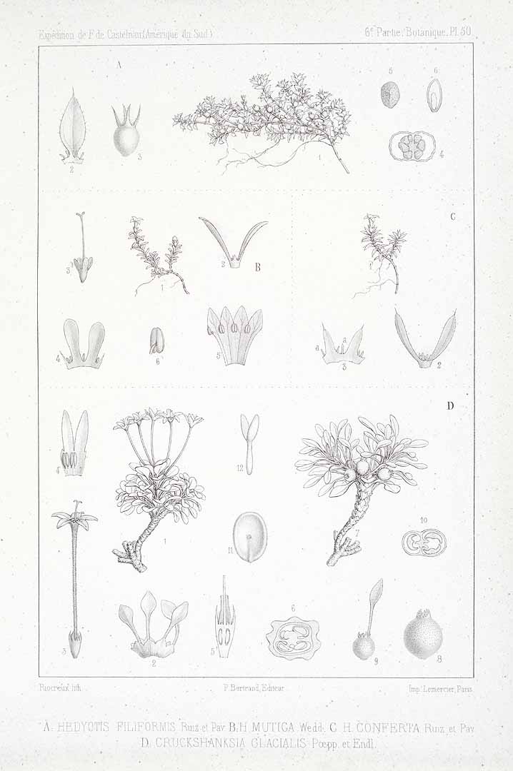 no HD illustration available (m5)