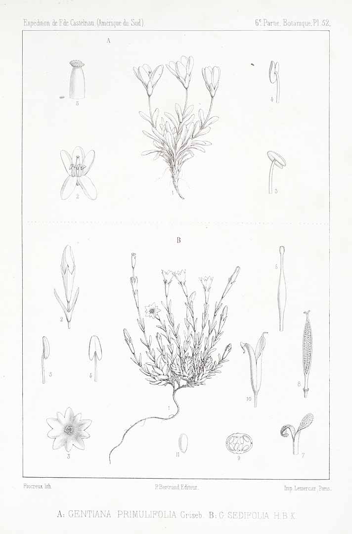 no HD illustration available (m5)