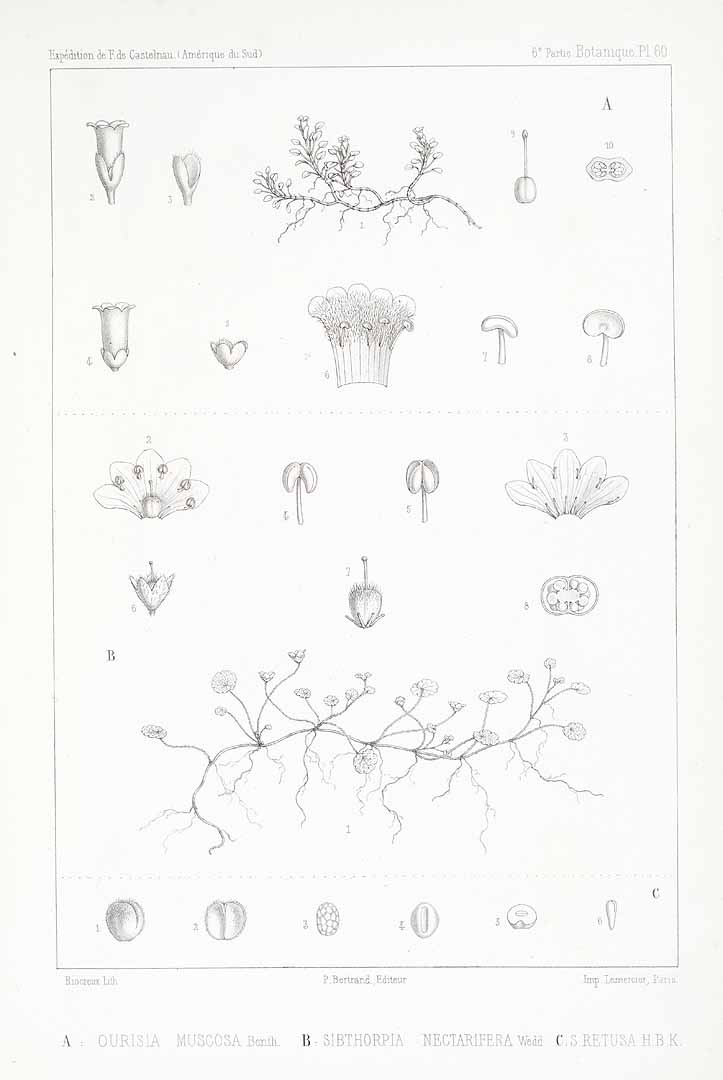 no HD illustration available (m1)