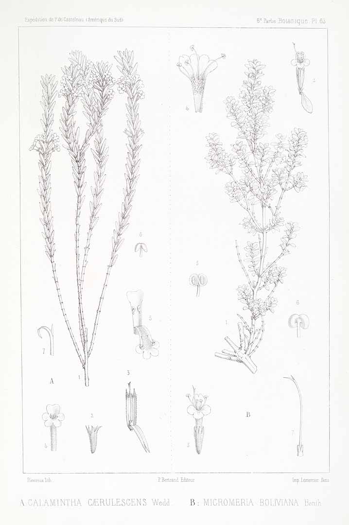 no HD illustration available (m5)