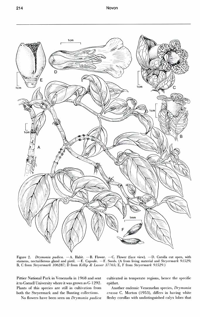 no HD illustration available (m5)